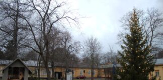 Naantalissa avattiin kaksi seimitallia