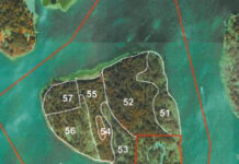 Maskun seurakunta suojeli Särkän saaren osana METSO-ohjelmaa