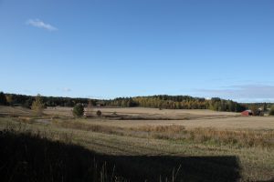 Eero Luotonen Merimasku