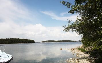 Saaristomeri-vaalipaneeli Turun yliopistossa 24.3. Seili / Saaristomeri