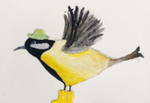 Naantalin opiston omaa päivää vietetään lauantaina