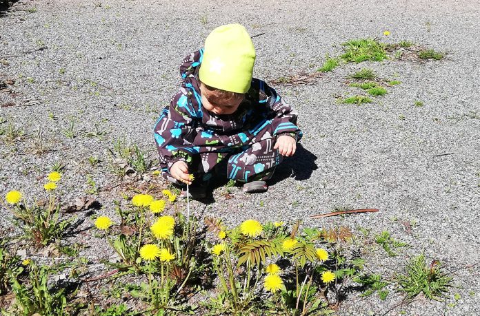 Vauvojen ja taaperoiden taide- ja kulttuuriviikko.