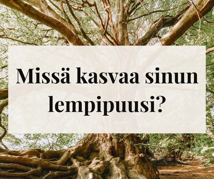 Varsinaista kulttuuria -hankkeen seututaiteilija Elina Laitinen haluaa kuulla seutukuntansa kuntien asukkaiden kokemuksia heille tärkeistä puista.