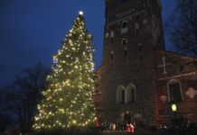 Valtakunnan ykköskuusi saapuu tänäkin vuonna Mynämäestä Valtakunnan ykköskuuseksi nimetty Turun tuomiokirkon kuusi tuli vuonna 2016 Nousiaisista. Kuva: Turun Seutusanomien arkisto.