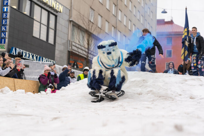 Pikkulaskiainen 2023. Kuva: Pikkulaskiainen.