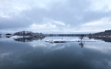 Turku toteutti 80 toimenpidettä Saaristomeren ja lähivesiensä hyväksi