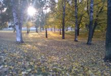 Turun hautausmaan kupeeseen 290 paneelin aurinkovoimala