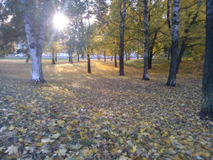 kuvituskuva toimituksen oma kuva