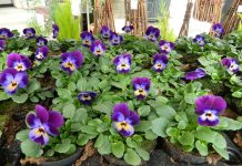 Uusi asunnottomien asumisyksikkö tulee Turun Oriketoon