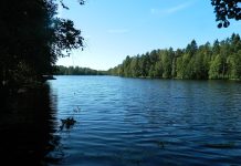 Turun Asukasbudjetin äänestys on käynnissä toukokuun ajan