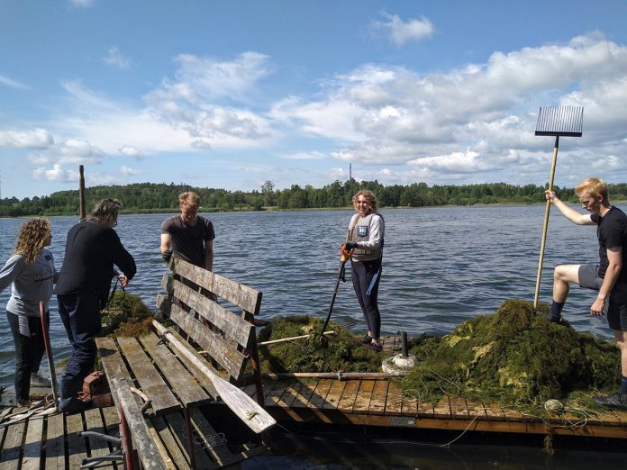 Luolalanjarvi kasvitalkoot web Naantalin Luolalanjärven kasvitalkoot. Kuva: ProLuolalanjärvi ry.