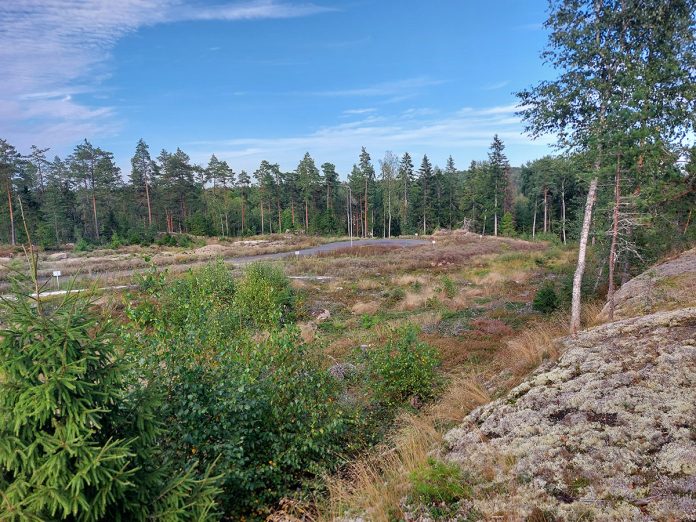 Pyrstötähti-kadulla sijaitsevat tontit on merkitty maastoon, ja niihin on mahdollista tutustua omatoimisesti tai kaupungin järjestämissä esittelytilaisuuksissa. Kuva: Naantalin kaupunki.