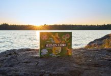 Raisiolainen pelitehdas julkaisi uuden lautapelin