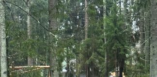 Hirvensalo sai uuden luonnonläheisen leikkipaikan