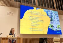 Suuren mylläyksen E18-asukastilaisuus Raision kirjastotalolla Raision kaupunginarkkitehti Emma Kaitaa alusti Raision maankäytön suunnitelmista Raision Omakotiyhdistyksen ja kaupungin järjestämässä asukasillassa 28. lokakuuta. Kuva: Katariina Mäkinen-Önsoy.