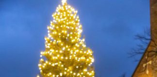 Tuomiokirkon kuusijuhla ja lasten adventtikirkko lauantaina Valtakunnan ykköskuusi syttyy loistoonsa Kuusijuhlassa. Kuva: Turun tuomiokirkkoseurakunta.