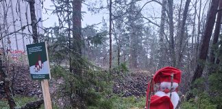 Kaanaan Tonttupolku kutsuu hauskalle tarinareitille Kaanaan tonttupolku. Kuva: Kaanaan Omakotiyhdistys.