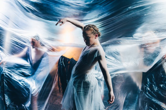 Aurinkobaletin Lumen. Kuva: Jussi Virkkumaa.