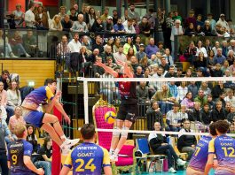 Raision Loimulle muutoksia valmennukseen ja huippukiinnitys pelaajistoon tuleville kausille Barock Volleys MTV Ludwigsburg passarinaan Tomi Saarinen. Vastassa cerebricks Volley Goats. Kuva: Anselm Berg.