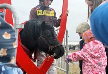 Perheravitapahtuma keräsi yli 9.200 kävijää pitkäperjantaina Turun Metsämäen Perheravit. Kuva: Metsämäen Ravirata.