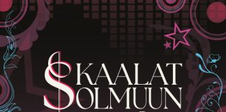 Juhlavuottaan viettävä Skaalat Solmuun valloittaa Turun ilmaiskeikoilla Skaalat Solmuun -festivaali.
