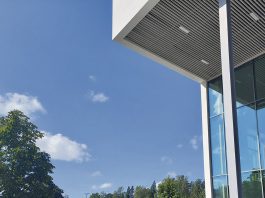 Kaarinan torilla kajahtaa yhteislaulu Kaarina-talon pihakirppistapahtuma.