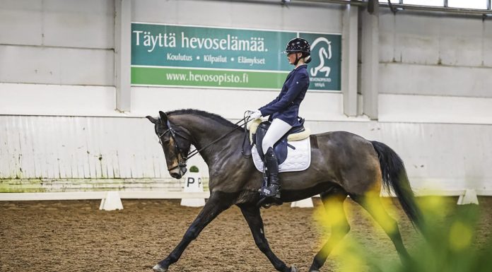 Tytti Kuukkasen tavoitteena kansainväliset kouluratsastuskisat Raision Ratsastajien ratsukko Tytti Kuukkanen – Kastell’s Don Diego saavutti lapsiratsastajien SM-hallimestaruuspronssia keväällä. Kuva: Ansku Ankelo.