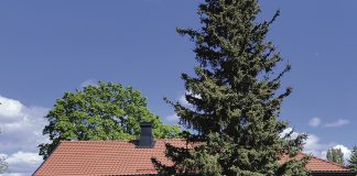 Draamaopastuksia Tuorlassa Tuorlan Majatalo. Kuva: Katariina Mäkinen-Önsoy / Turun Seutusanomien arkisto.