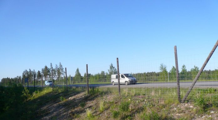 Paimioon ja Paraisille rakennetaan lisää riista-aitoja