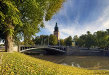 Lähes sata puuvanhusta sai kuntotutkimuksen Turussa
