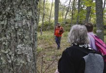 Senioriretket kutsuvat syyskuussa turkulaiseen lähiluontoon Retkikamu Markku Kuittinen. Kuva: Olli Järvenkylä.