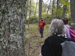 Senioriretket kutsuvat syyskuussa turkulaiseen lähiluontoon Retkikamu Markku Kuittinen. Kuva: Olli Järvenkylä.