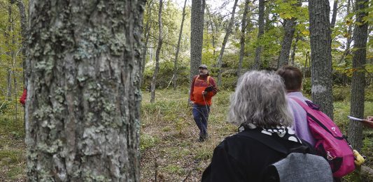 Senioriretket kutsuvat syyskuussa turkulaiseen lähiluontoon Retkikamu Markku Kuittinen. Kuva: Olli Järvenkylä.