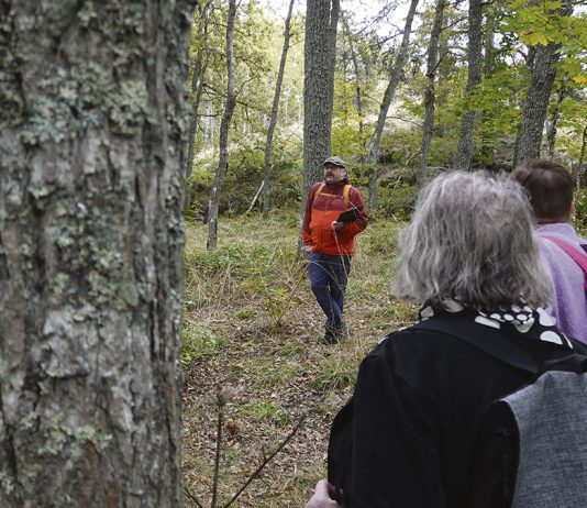 Senioriretket kutsuvat syyskuussa turkulaiseen lähiluontoon Retkikamu Markku Kuittinen. Kuva: Olli Järvenkylä.