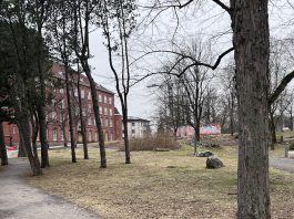 Koululaiset kiertotalouden jäljillä – IT-laitteiden elinkaari avautuu opetusrekassa Luostarivuoren koulun Luostarivuoren yksikkö. Kuva: Katariina Mäkinen-Önsoy / Turun Seutusanomien arkisto.
