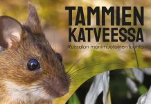 Tammien katveessa – Ruissalon monimuotoinen luonto kirjankansissa Turun Eläin- ja Kasvitieteellinen Seura ry (TEKS) on toimittanut Tammien katveessa – Ruissalon monimuotoinen luonto -teoksen (Kustannus Aarni Oy).