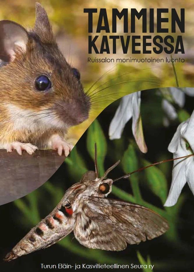 Tammien katveessa -kirja web Turun Eläin- ja Kasvitieteellinen Seura ry (TEKS) on toimittanut Tammien katveessa – Ruissalon monimuotoinen luonto -teoksen (Kustannus Aarni Oy).